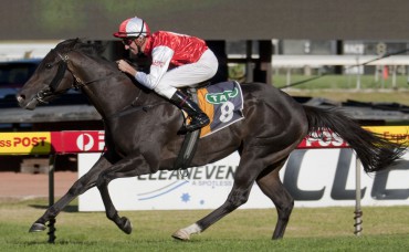 Tips for Ascot 21st April - Diggers Cup